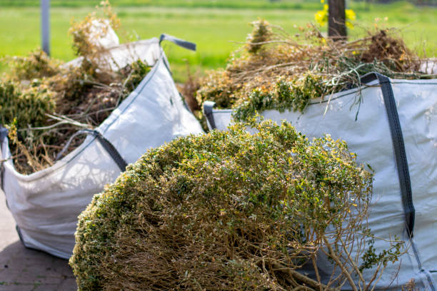 Best Furniture Removal  in Enosburg Falls, VT